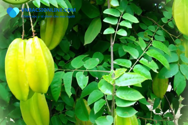 Nguyên nhân và thuốc điều trị mề đay